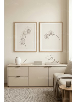 Tontilika Zarif Minimalist Orkid Botanik Çizim 2’li Ahşap Çerçeveli Tablo Seti
