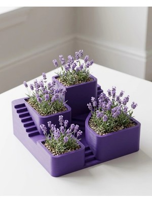 3D Kaktüs Saksısı Modern Çok Bölmeli Dekoratif Tasarım Nemere