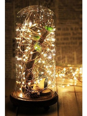 Daisy Home Dekoratif Pilli LED - Tel LED Işık 5 mt Loş Işık 1410