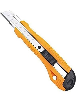 Daisy Home W 2160 Bıçağı, 100 x 18 mm