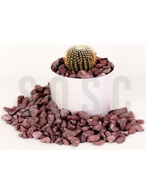 Daisy Home Bordo Çakıl Taşı Dolomit Taşı Bahçe Süsü Akvaryum Taşı Dere Çakıl Taşı 2-3 cm 1 kg