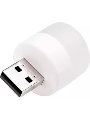 Daisy Home 2 Adet Mini Ampul 1W Taşınabilir USB LED Işık - Powerbank Laptop Pc Uyumlu Günışığı Renk