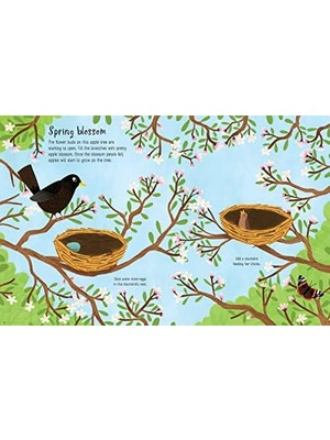 Daisy Home First Book Seasons: 1