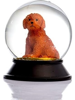 Daisy Home Cam ve Reçine Altın Patiler Köpek Toy Poodle (Tarçın) Kar Küresi Hediye