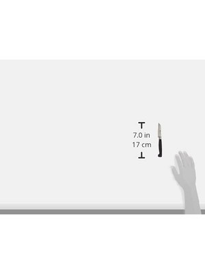 Daisy Home Zwilling Sebze Meyve Bıçağı