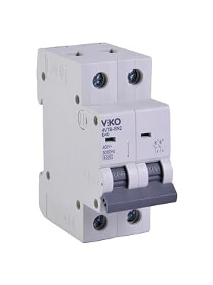 Daisy Home 4VTB-2B40 Otomatik Sigorta 4,5ka B Tipi 2 Kutup 40A