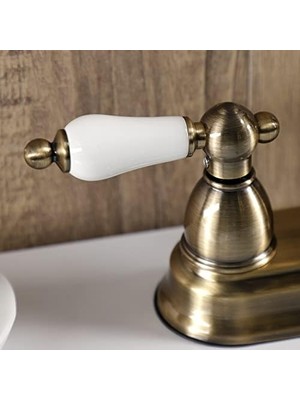 Daisy Home Iki Kulplu Toilette Musluk Pirinç Finish