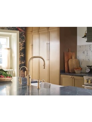 Daisy Home S5510BG Sip Geleneksel Soğuk Su Mutfak Içecek Musluk Isteğe Bağlı Filtrasyon Sistemi Ile, Fırçalanmış Altın