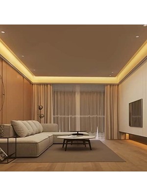 Cekar Store 10 Metre Şerit LED Günışığı Renk + 12V 10 Amper 120 Watt LED Trafo - 3 Dirençli Double Pcb - Oturma Odası, Yatak Odası ve Mutfak Için Gizli Aydınlatma          [enerji Sınıfı F]