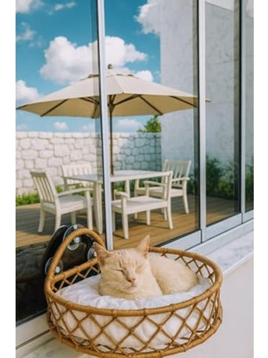 Cekar Store Tasaryum Pencere Için Dekoratif Kedi Yatağı, Cam Yatağı Örgülü Kendine Özgü Tasarım, Vantuzlu