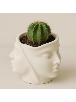 Cekar Store Dekoratif Yüz Saksı – Taş Tozu Sukulent Saksısı, Modern Minimalist Masa Dekoru, El Yapımı Sukulent Saksı, Kalemlik & Makyaj Fırçası Organizer, 11 cm