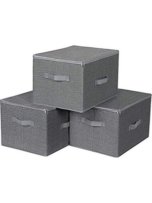 Cekar Store Songmıcs Kapaklı Saklama Kutuları, 3'lü Set RYZB03G