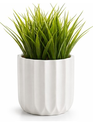 B&Nine Yapay Çim Bitkisi Beyaz Saksıda Dekoratif Masa Üstü Çiçek