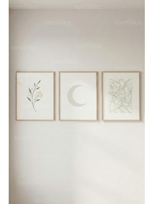 Tontilika Soft Botanik & Geometrik 3’lü Ahşap Çerçeveli Tablo Seti – Minimal Modern Duvar Dekoru
