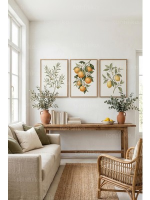 Tontilika Akdeniz Zeytin Limon Portakal Botanik 3’lü Ahşap Çerçeveli Tablo Seti