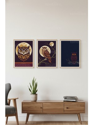 Tontilika Ay ve Baykuş Temalı 3’lü Ahşap Çerçeveli Tablo Seti