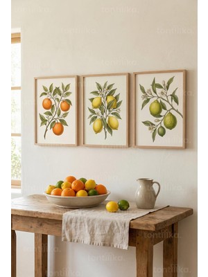 Tontilika Botanical Narenciye Temalı 3’lü Ahşap Çerçeveli Tablo Seti