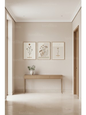 Tontilika Minimalist Botanik Çizimler 3’lü Ahşap Çerçeveli Tablo Seti