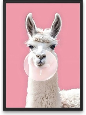 Pembe Arka Planlı Sakız Çiğneyen Beyaz Lama | Çerçevesiz