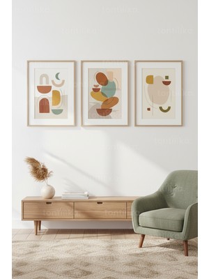 Tontilika Modern Soyut Organik Formlar 3’lü Ahşap Çerçeveli Tablo Seti