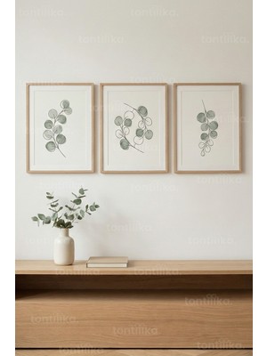 Tontilika Soft Botanical Çizgiler 3’lü Ahşap Çerçeveli Tablo Seti – Minimal Doğa Duvar Dekoru