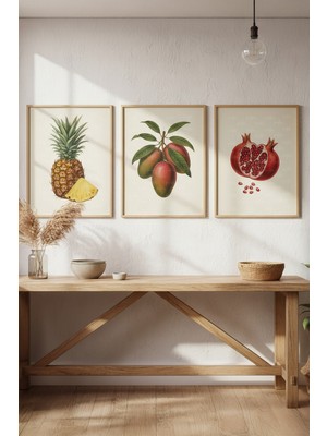 Tontilika Ananas, Mango ve Nar 3’lü Modern Ahşap Çerçeveli Tablo Seti - Mutfak Dekoru