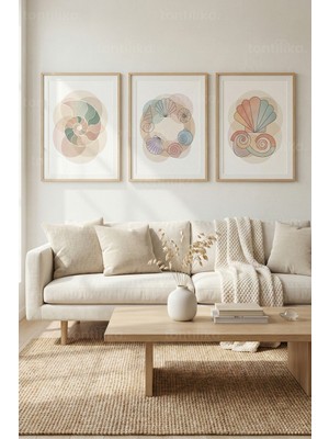 Tontilika Pastel Deniz Kabuğu Motifleri 3’lü Ahşap Çerçeveli Tablo Seti - Salon Duvar Dekoru