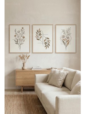 Tontilika Minimalist Botanik Çizimler 3’lü Ahşap Çerçeveli Tablo Seti
