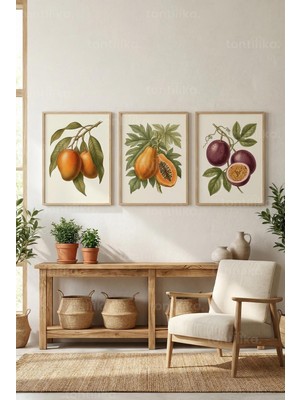 Tontilika Tropik Meyve Botanik Tasarımlı 3’lü Ahşap Çerçeveli Tablo Seti