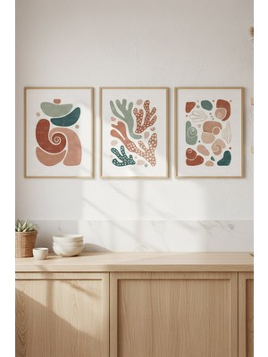 Tontilika Soyut Bitki ve Deniz Kabukları 3’lü Modern Ahşap Çerçeveli Tablo Seti - Mutfak Dekoru