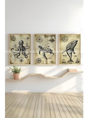 Tontilika Vintage Deniz Canlıları 3 Parçalı Ahşap Çerçeveli Tablo Seti
