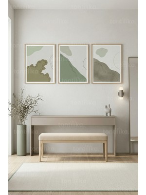 Tontilika Organik Soyut Peyzaj 3’lü Ahşap Çerçeveli Tablo Seti