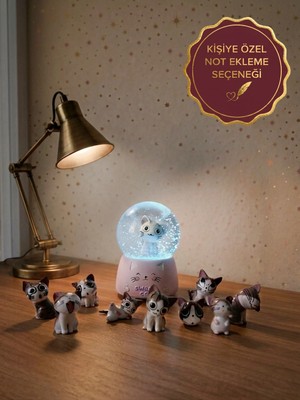 Orta Boy Işıklı Kedili Kar Küresi ve 9'lu Mini Kedi Figür – Sevgiliye Arkadaşa Sevimli Hediye Seti