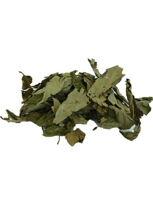 Luord-Store Üvez Yaprağı Doğal 100 gr Paket