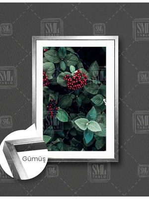 SML Tablo Yeşil Küçük Yapraklı Kırmızı Meyveli Bitki Filtre Boho  Dikey Çerçeveli Kanvas Tablo