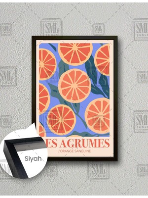 SML Tablo Portakal Ilüstrasyonu Boho Minimal  Dikey Çerçeveli Kanvas Tablo