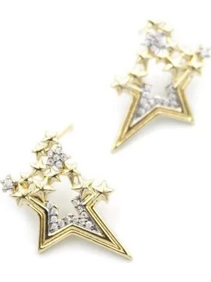 Die Grup Taşlı Yıldız Küpe - Altın