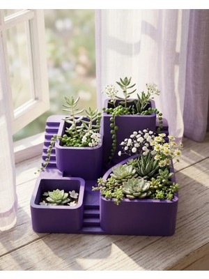 Mestore Dekoratif 3D Kaktüs Saksısı Çok Bölmeli Minimal Bitki Düzenleyici