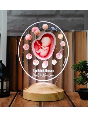Sevgilambası Tüp Bebek Uzmanı Ivf Doktoru 3D LED Lamba, Embriyoloji ve Kadın Doğum Uzmanına Özel Hediye