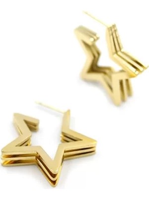 Die Grup Yıldız Çelik Küpe - Altın