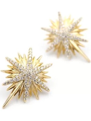 Die Grup Kuzey Yıldızı Küpe - Rose