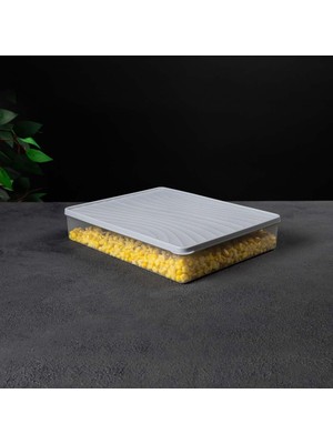 Enyaza Home Derin Dondurucu Saklama Kabı 3 L