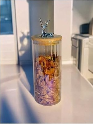 Enyaza Home Yenigeldi (9X20 Cm) 1 Adet Gökkuşağı Geyikli Cam Saklama Kavanozu Geyik Başı Gümüş Renk Hava Geçirmez Y-471,GÖKKUŞAĞI