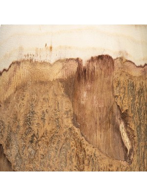 Enyaza Home Co-Op 33 cm H Oyma Paulownia Ahşap Canlı Kenar (Her Biri Değişecektir) Vazo, 32 Cm, Kahverengi