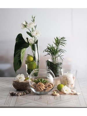 Enyaza Home Botanıca 160 mm Tekli Hediyelik Kutu