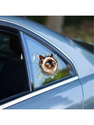Eilo Luxe Fulcar Siamesse Araç Stickerı