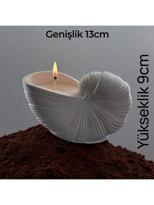 Civetta Dekoratif Vanilya Kokulu Deniz Kabugu  Mum