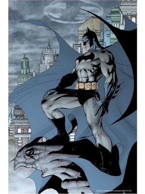 Senka Mey Ithalat® Batman Figür ve 300 Parça Puzzle