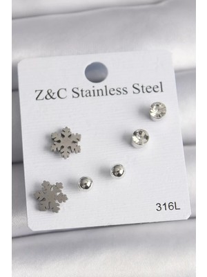 LTG Nova Çelik Gümüş Renk Zirkon Taşlı Kar Tanesi Model Kadın Küpe Seti - TJ-BKP10014