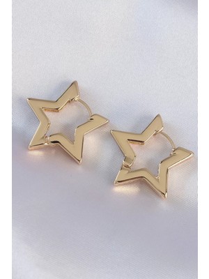 LTG Nova Pirinç Gold Renk Yıldız Küpe - TJ-BKP8982